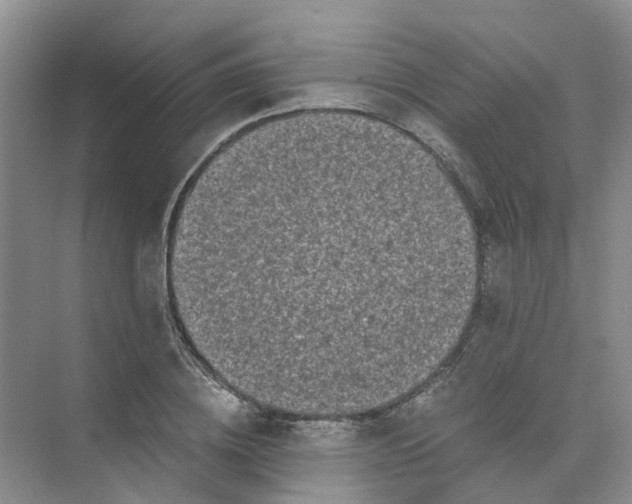 X0000073860836200608312024