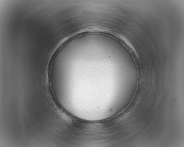 X0000073860837200608312024