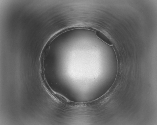 X0000073860838200608312024