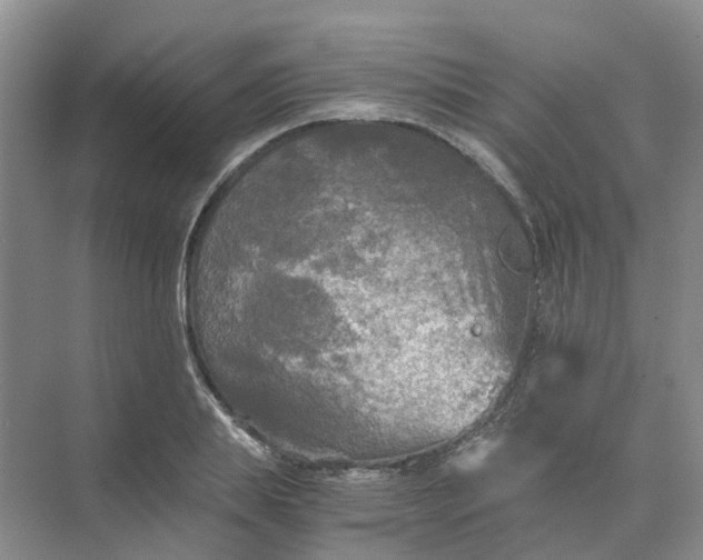 X0000073860839200608312024