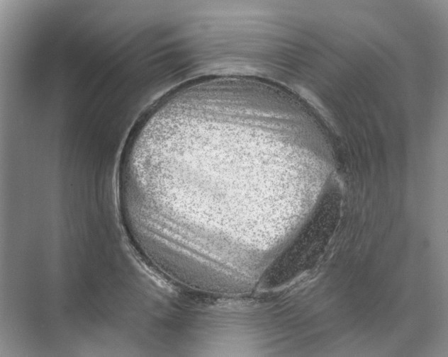 X0000073860840200608312024