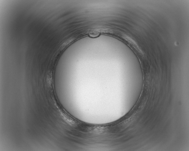 X0000073860841200608312024