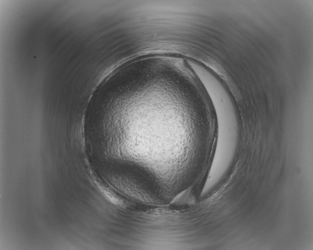 X0000073860842200608312024