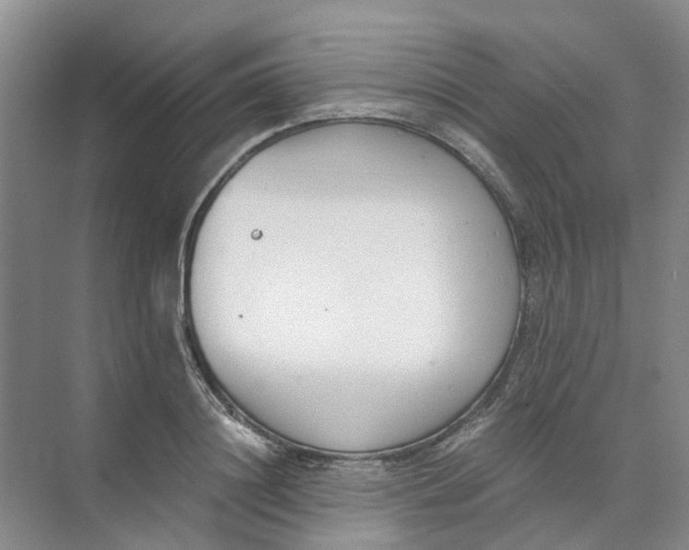 X0000073860844200608312024