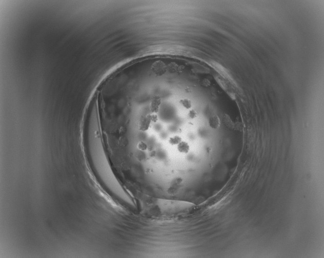 X0000073860846200608312024