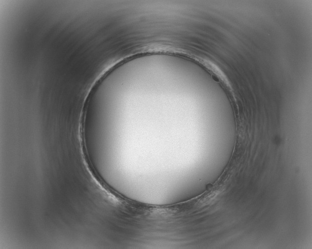 X0000073860847200608312024