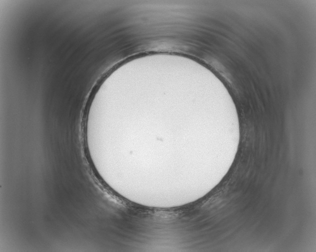 X0000073860848200608312024