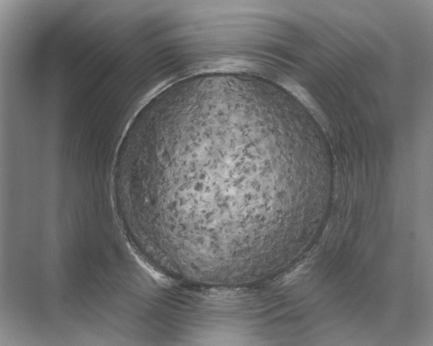 X0000073860850200608312025