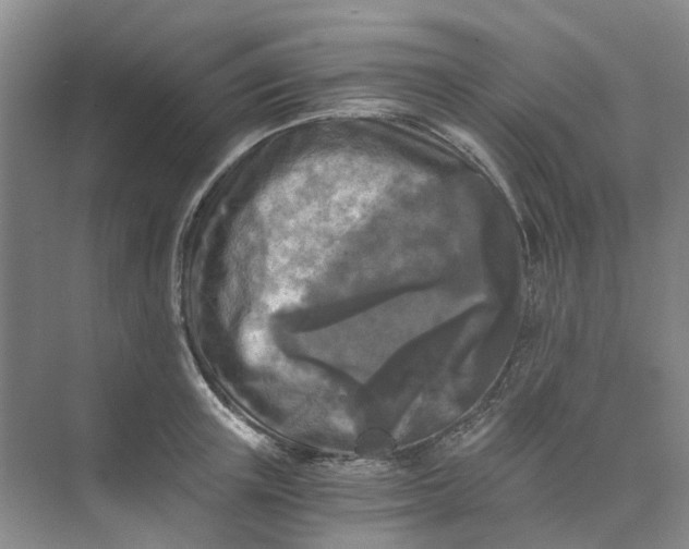 X0000073860851200608312025