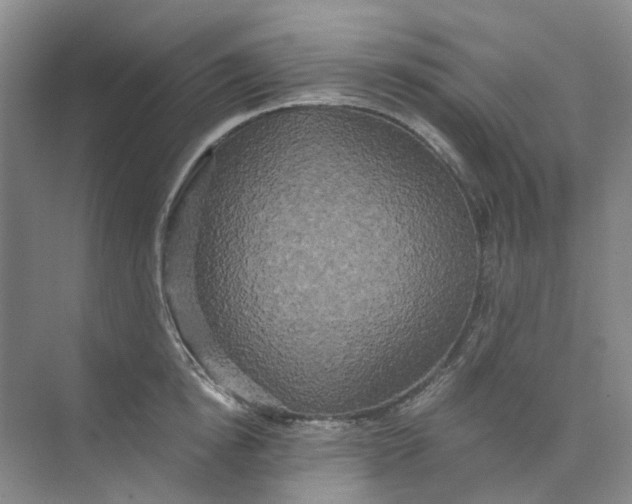 X0000073860854200608312025