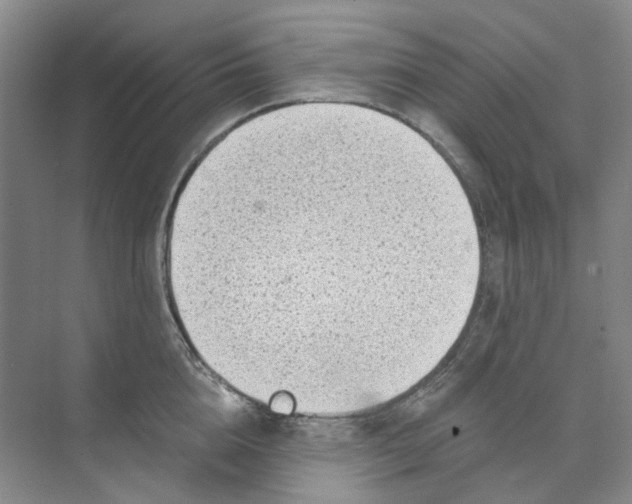 X0000073860856200608312025