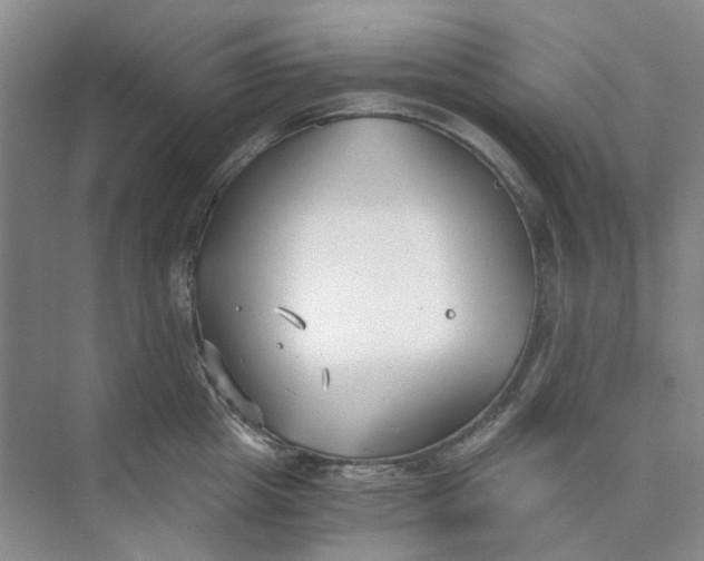 X0000073860857200608312025