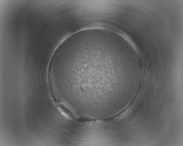 X0000073860858200608312025