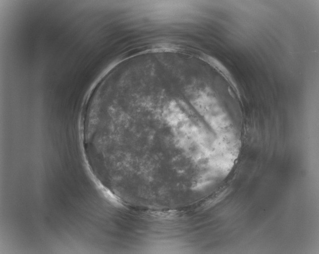 X0000073860859200608312025