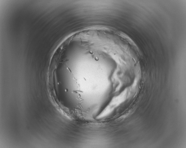 X0000073860860200608312025