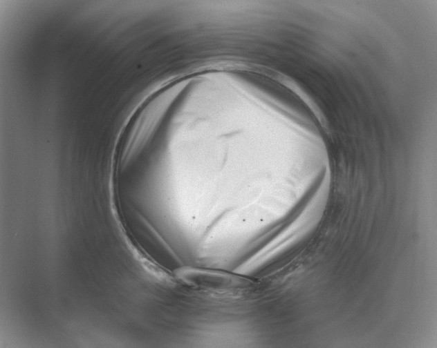 X0000073860861200608312025