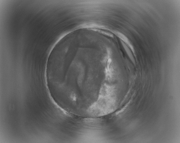 X0000073860863200608312025