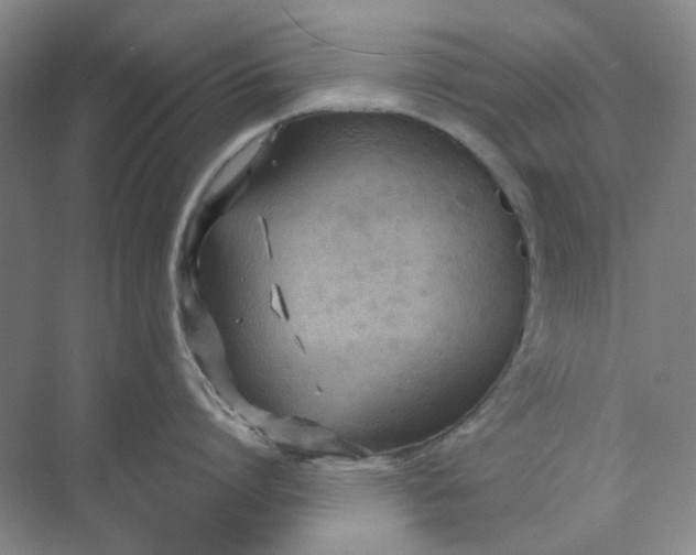 X0000073860864200608312025