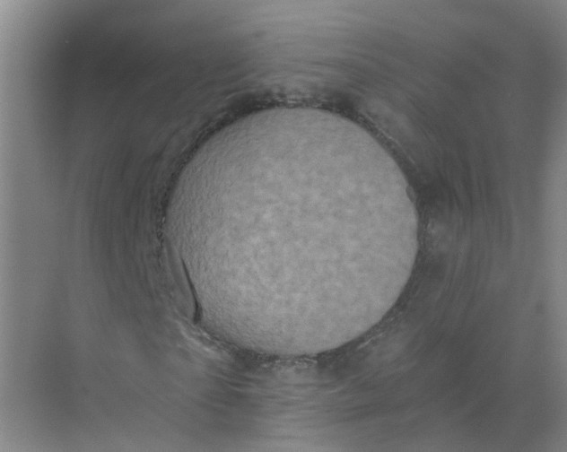 X0000073860865200608312024