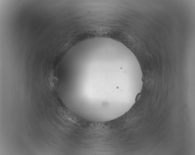 X0000073860866200608312024