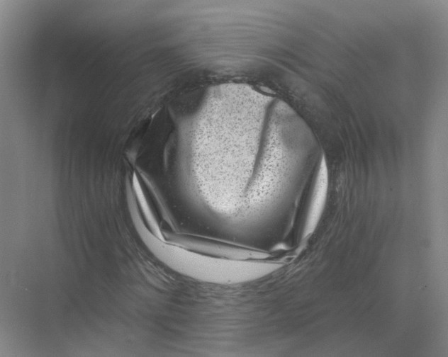 X0000073860868200608312024