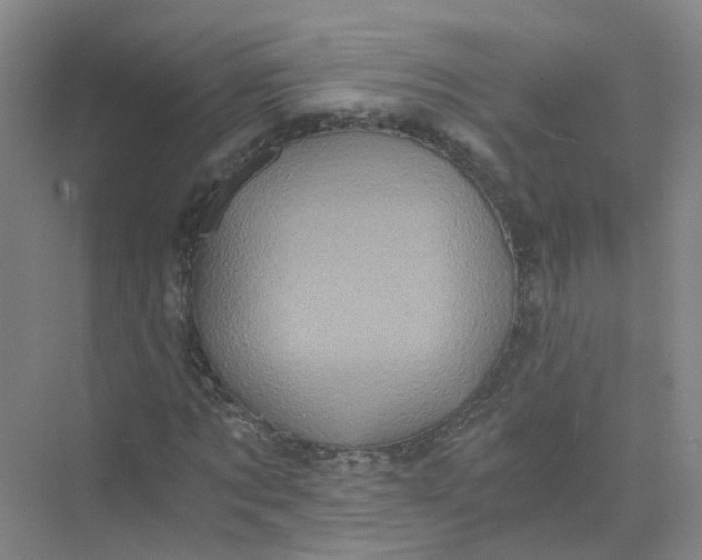 X0000073860869200608312024