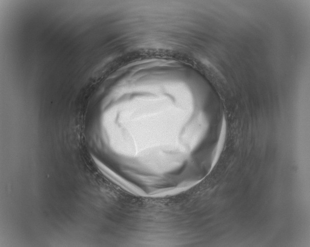 X0000073860870200608312024