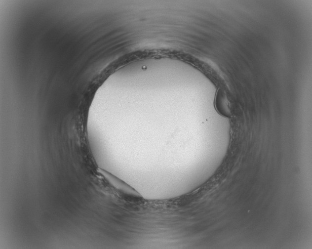 X0000073860871200608312024