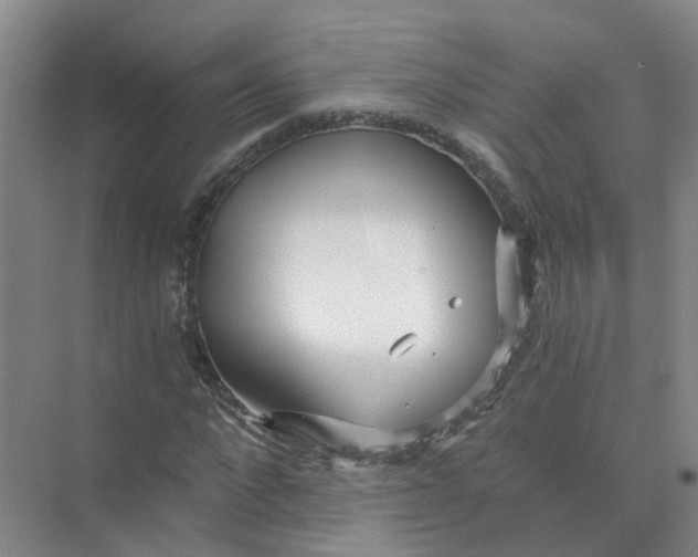 X0000073860872200608312024