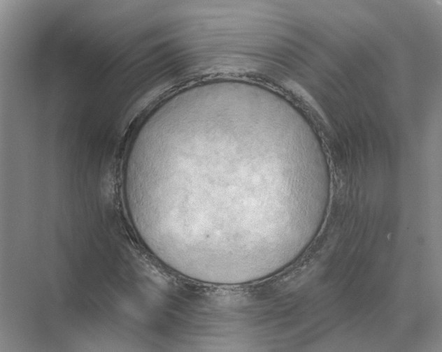 X0000073860874200608312024