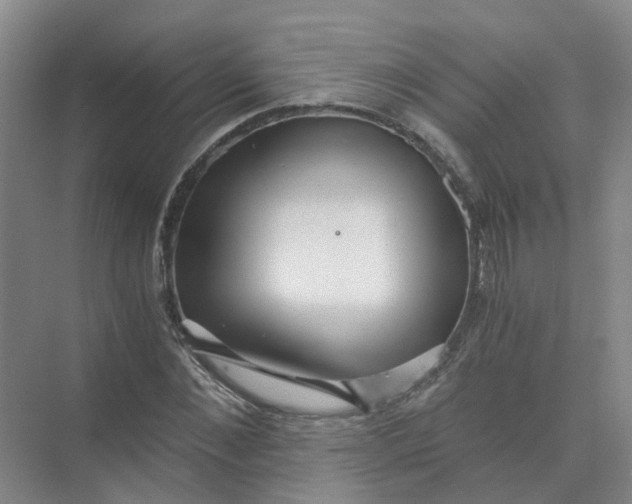 X0000073860876200608312024