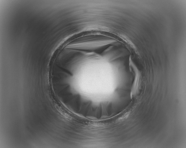 X0000073860877200608312024