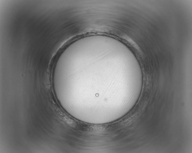 X0000073860878200608312024