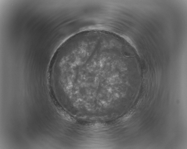 X0000073860879200608312024