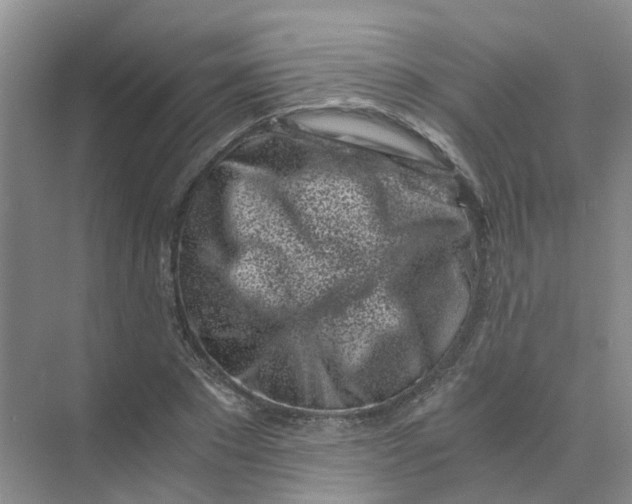 X0000073860881200608312024