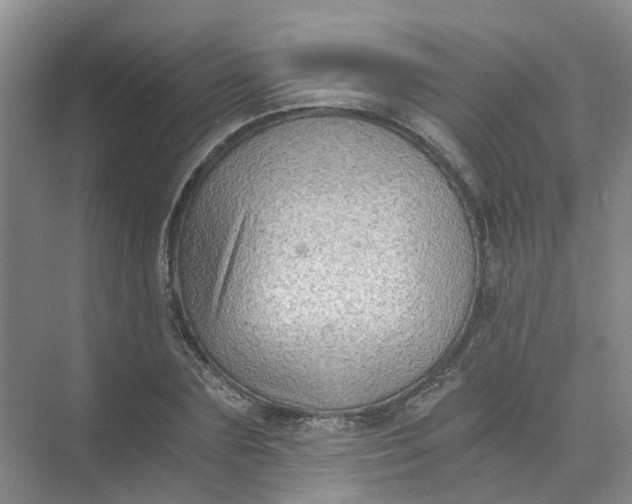 X0000073860883200608312024