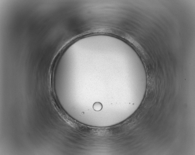 X0000073860886200608312024