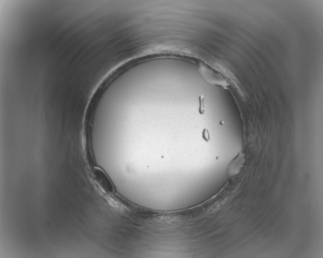 X0000073860888200608312024