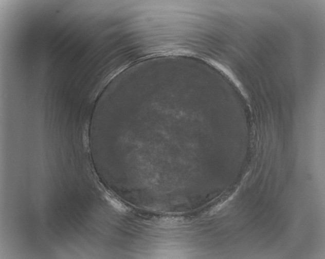 X0000073860889200608312024