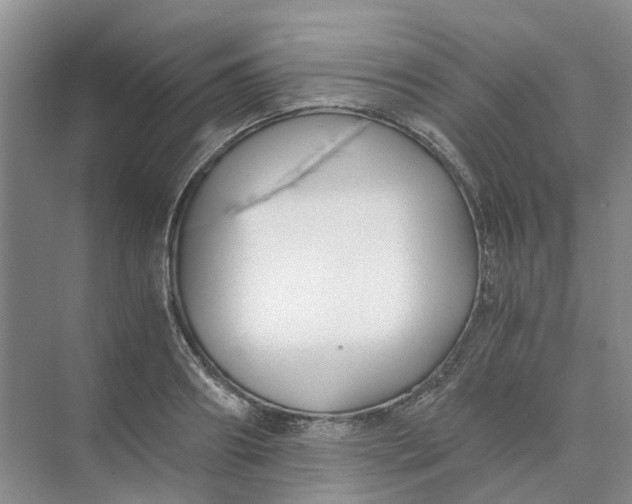 X0000073860890200608312024