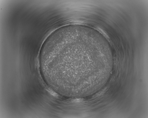 X0000073860891200608312024