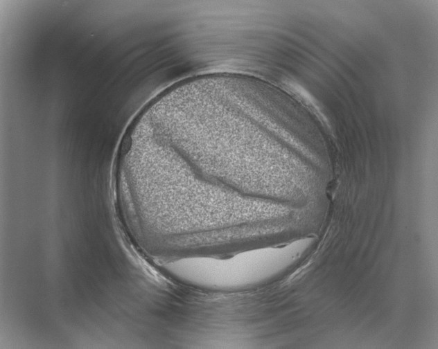 X0000073860892200608312023