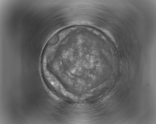 X0000073860895200608312023