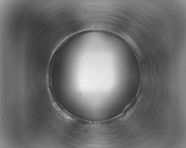 X0000073860896200608312023