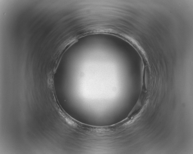 X0000073860897200608312023