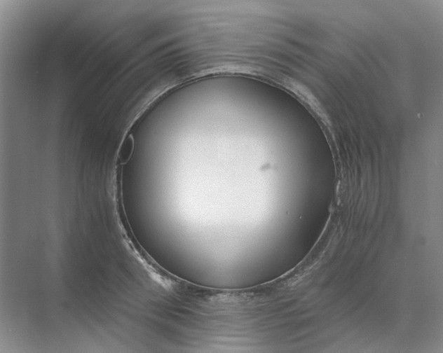 X0000073860898200608312023