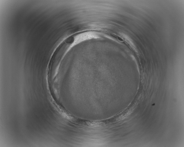 X0000073860899200608312023