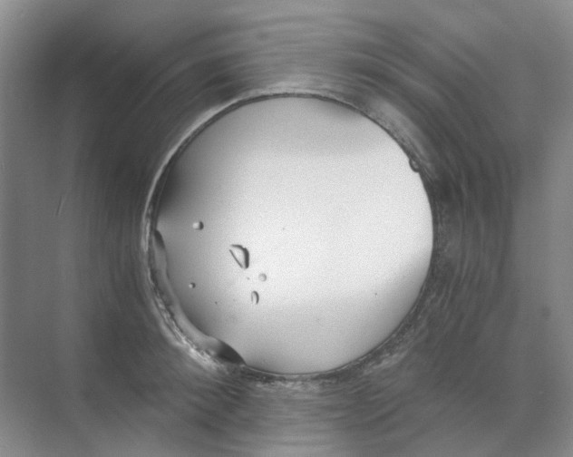 X0000073860900200608312023