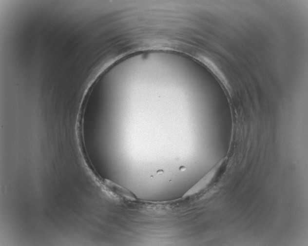 X0000073860901200608312023