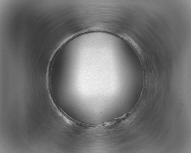 X0000073860902200608312023